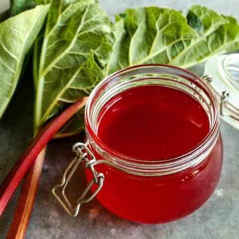 Ruby Rhubarb Syrup-image