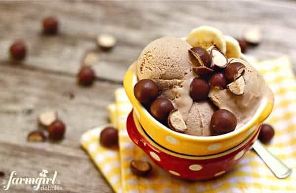 A bowl of chocolate ice cream with malted balls and banana slices