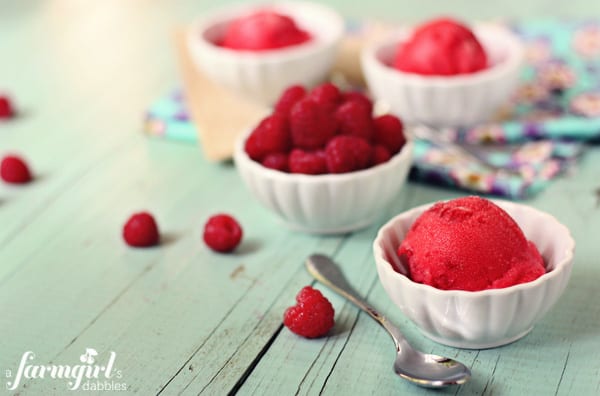 fresh raspberry sorbet