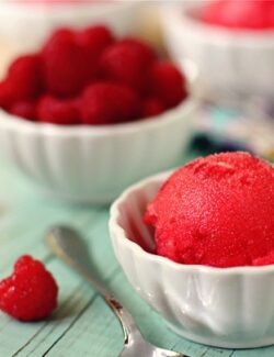 a white dish of raspberry sorbet