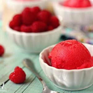 a white dish of raspberry sorbet