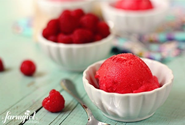 a white dish of raspberry sorbet