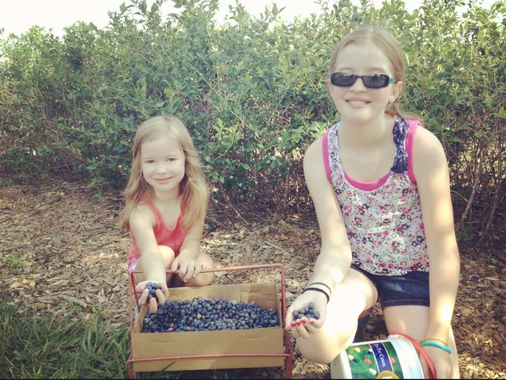 two girls picking blueberries