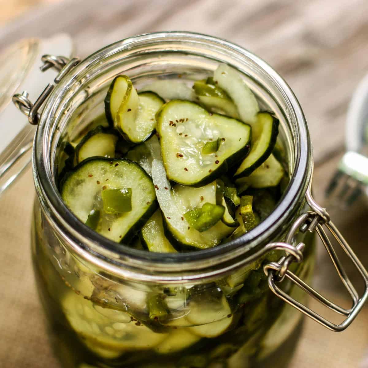 QUICK PICKLE RECIPE 🥒  Making Fresh Refrigerator Pickles Using Silver  Slicer Cucumbers 