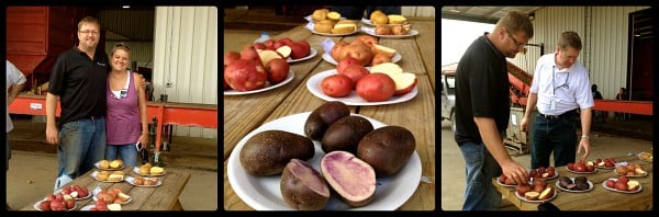 sampling different types of potatoes