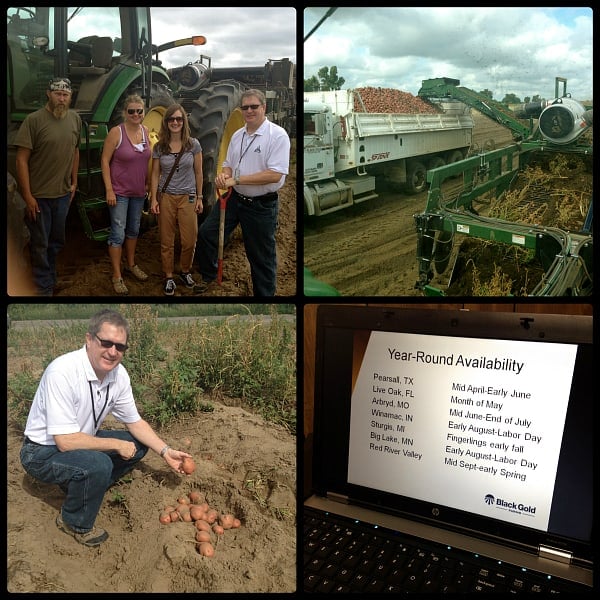 Black Gold potato farms