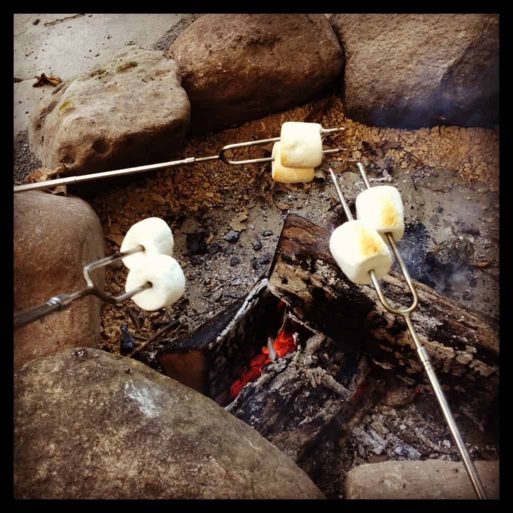 roasting marshmallows over a fire