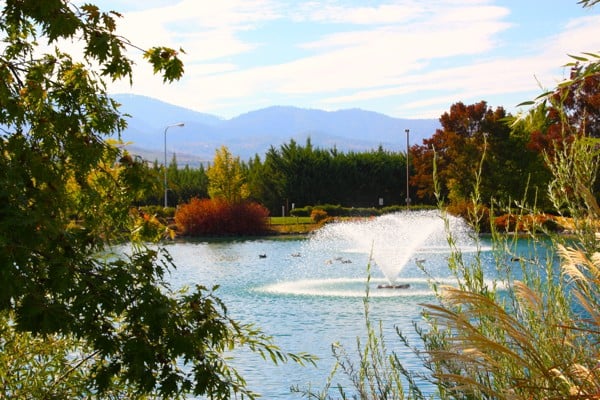 fountain in a pond