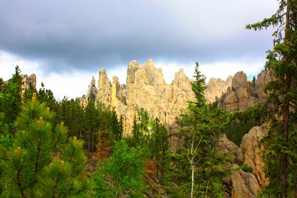 mountains in the Black Hills