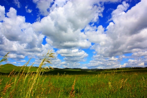 prairie land
