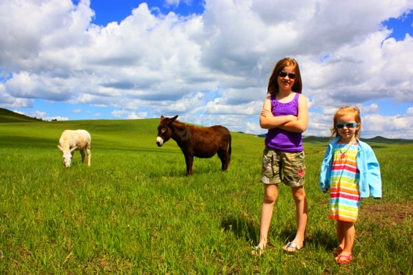 two girls and two burros