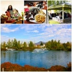 A collage of my outdoor lunch in Medford, OR