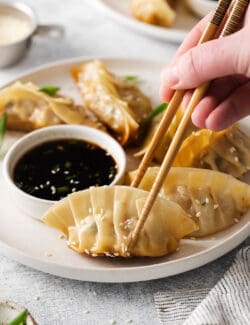 Chopsticks grabbing a pork potsticker from a plate