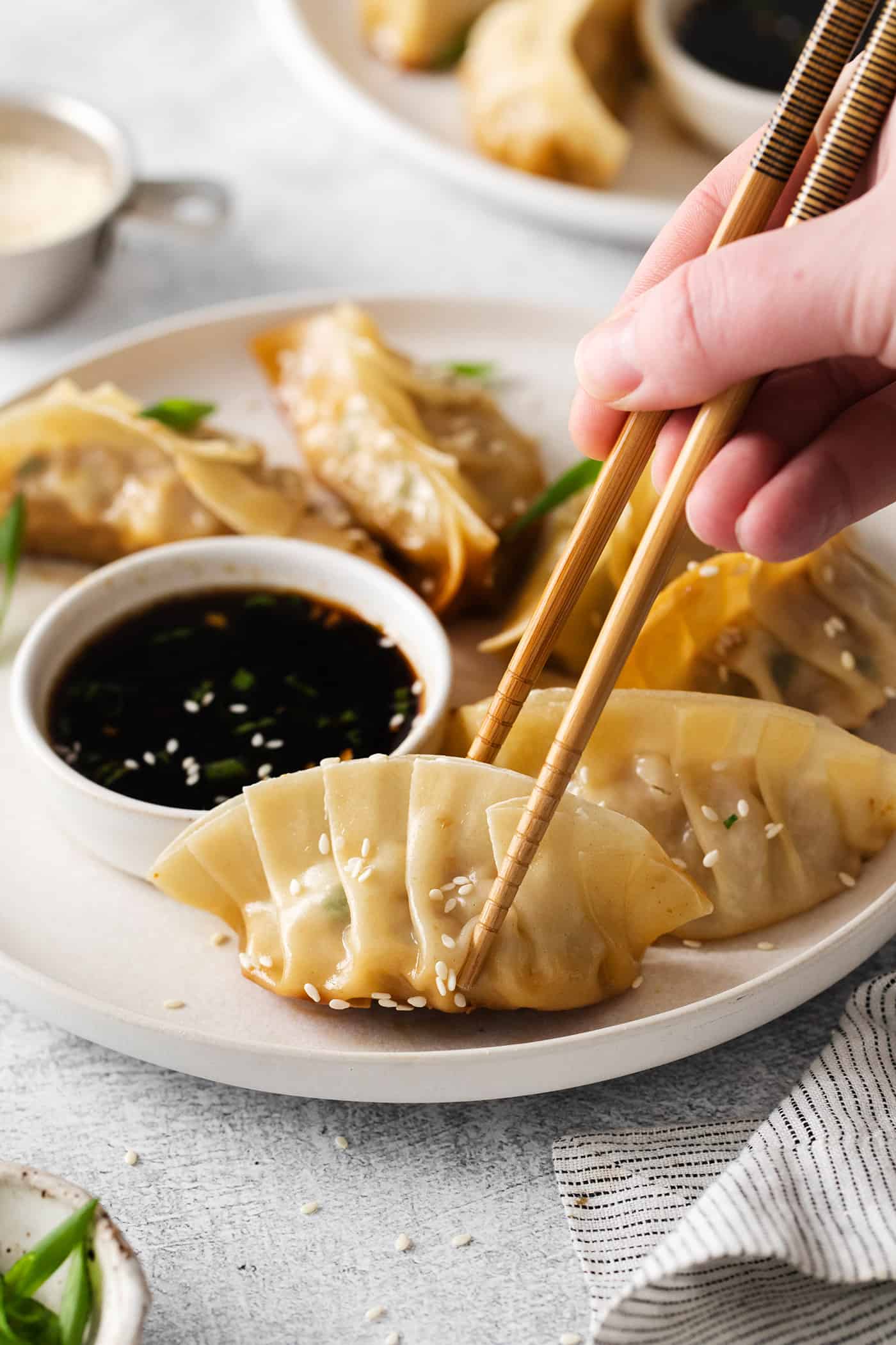 Chopsticks grabbing a pork potsticker from a plate