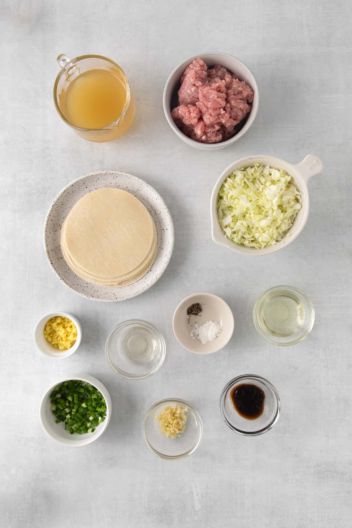 Overhead view of pork and cabbage potsticker ingredients