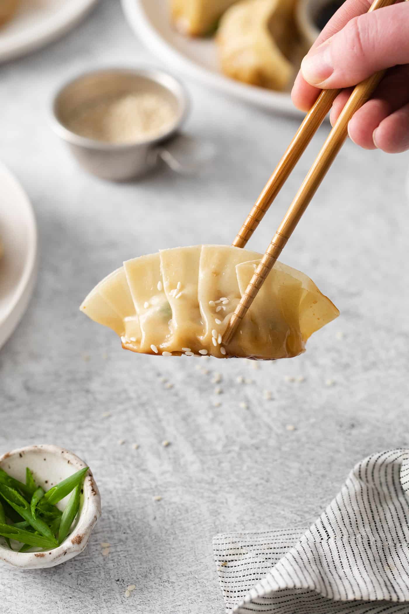 Chopsticks holding a pork and cabbage potsticker