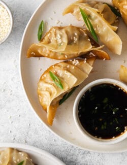 Overhead view of pork and cabbage potstickers with a dish of dipping sauce