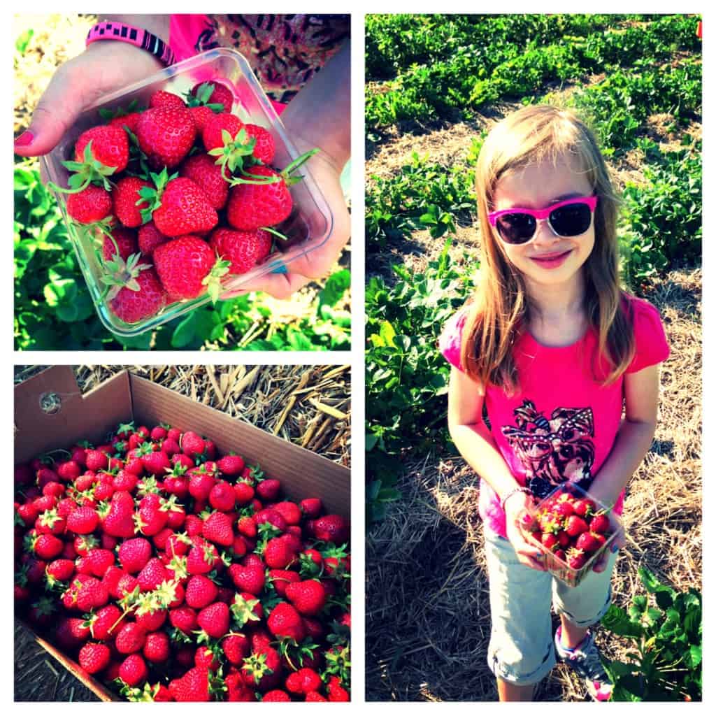 a girl picking strawberries
