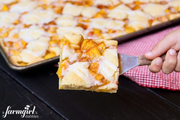 An Almond Peach Dessert Bar on a Spatula