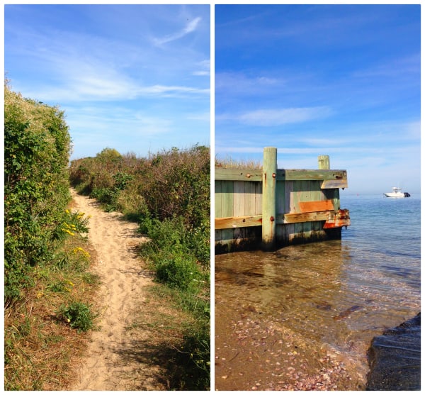 a sandy walking trail