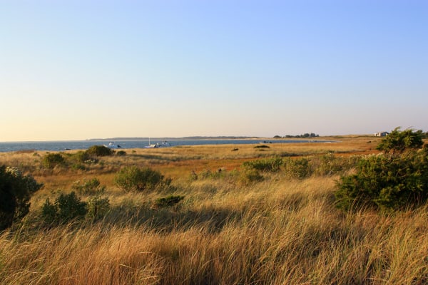 Wauwinet landscape