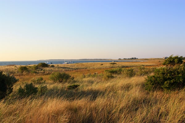 Wauwinet landscape