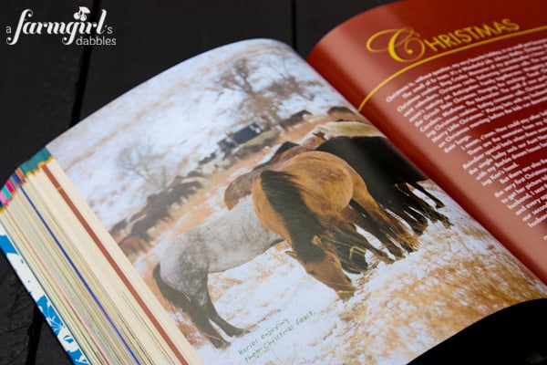 a picture of horses in a cookbook