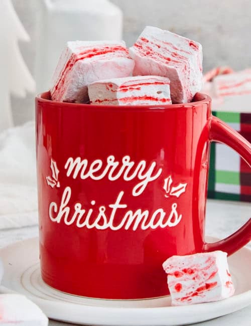 Peppermint marshmallows piled into mug of hot chocolate.