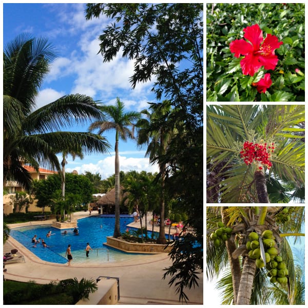 a collage of photos from a resort in Mexico