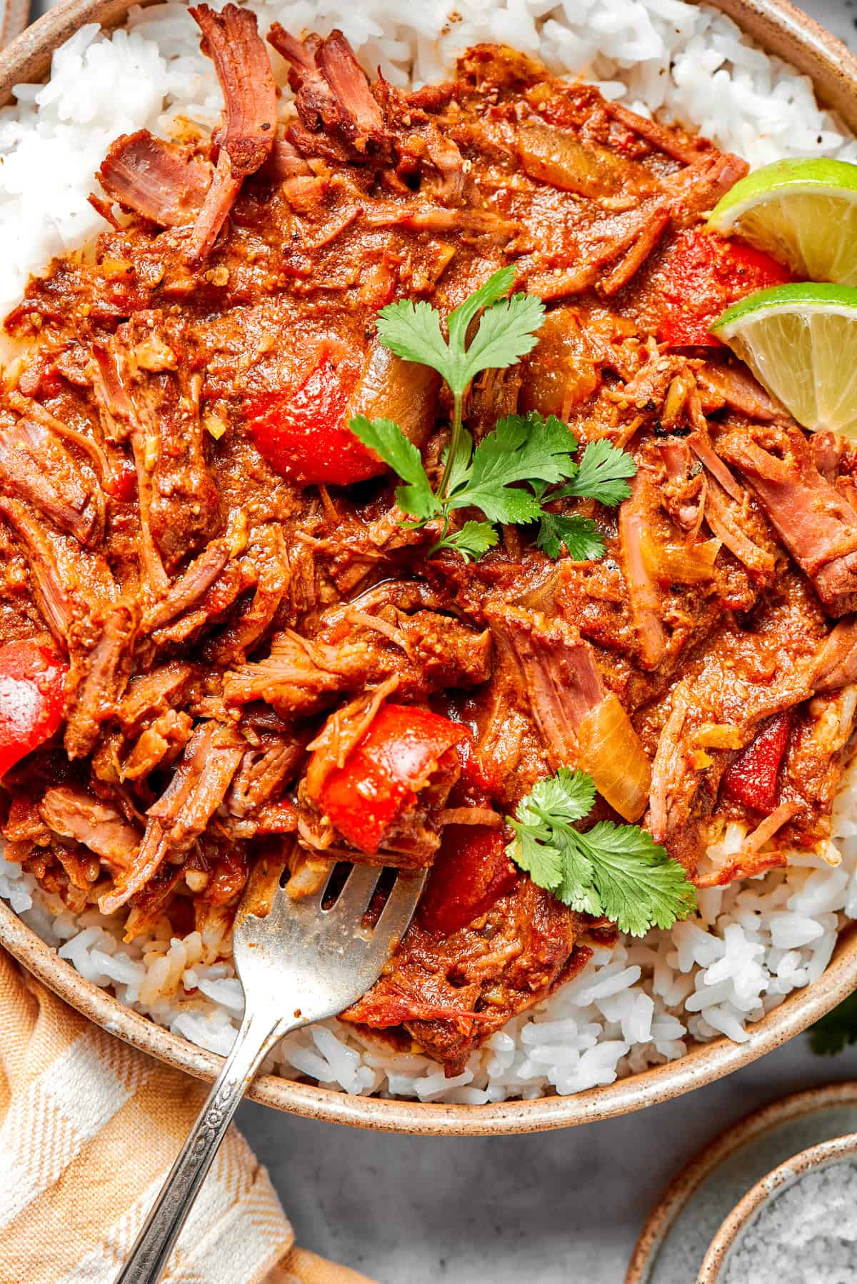 Overhead view of slow cooker beef curry in bowl with rice