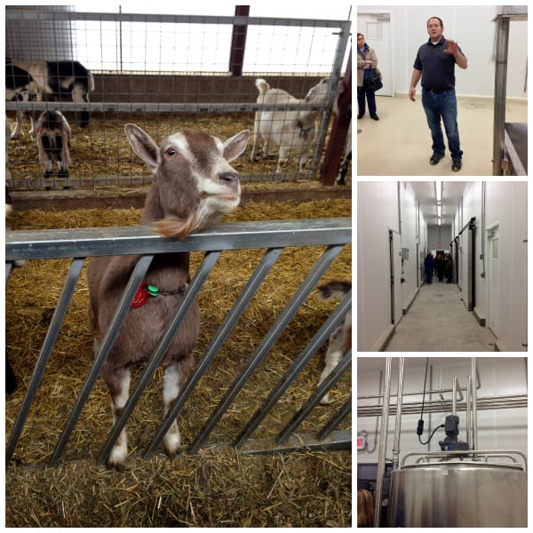 a collage of photos from LaClare Farms