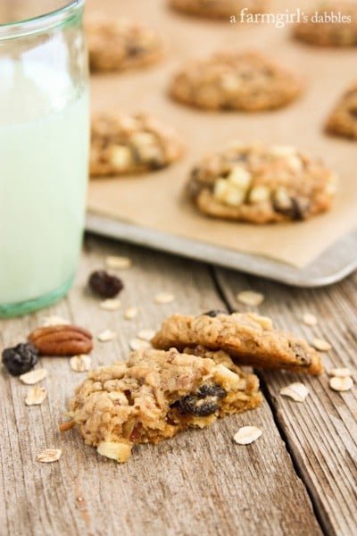 Oatmeal Cookies with Apples, Raisins, and Pecans