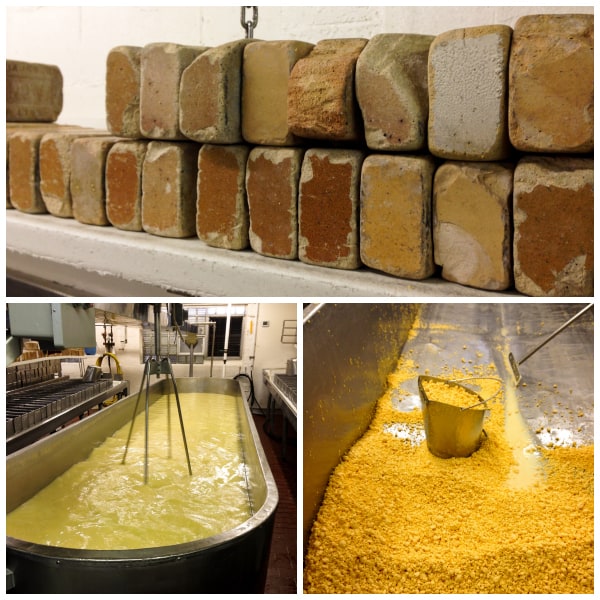 collage of photos showing the cheese making process