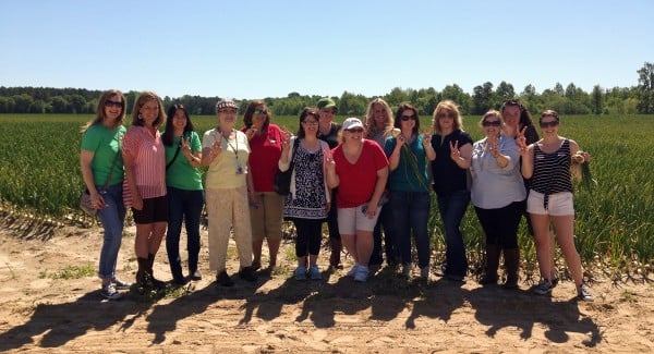 a group of people in an onion field