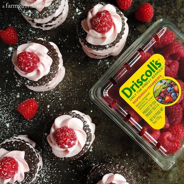 chocolate Napoleons with driscoll's raspberries