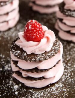Chocolate and raspberry cream napoleon topped with a fresh raspberry