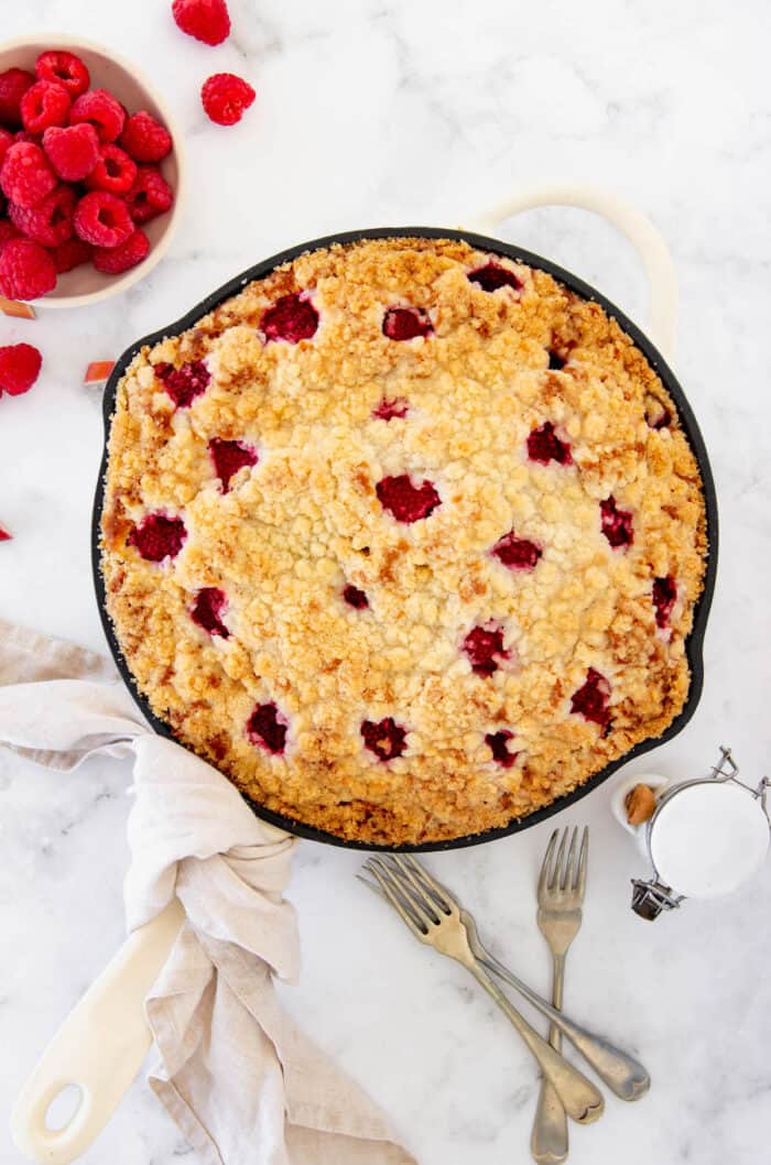 Overhead view of raspberry rhubarb coffee cake