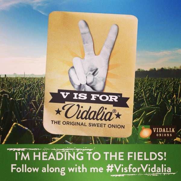 vidalia onion campaign image