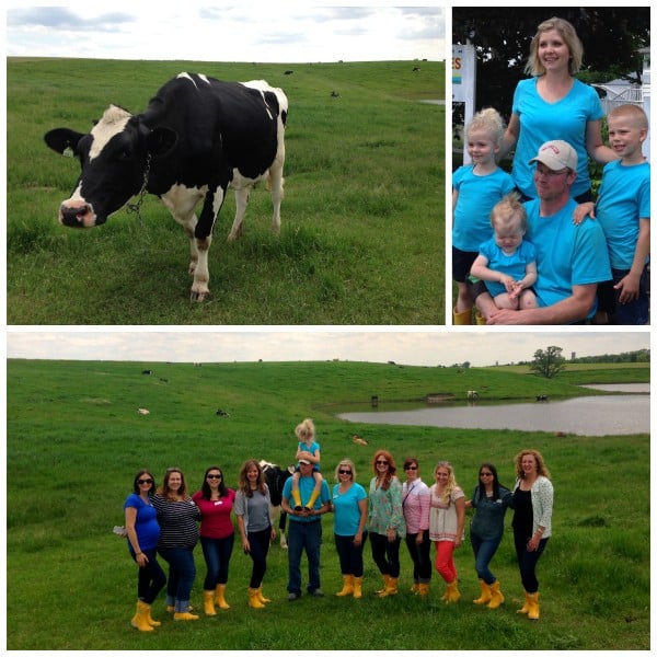 a collage of pictures from a MN dairy farm