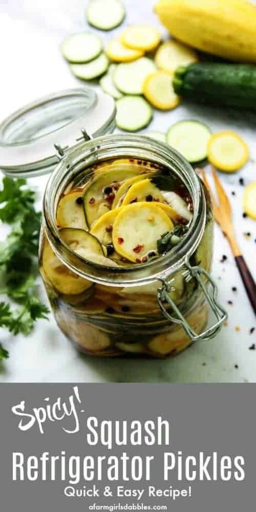 pinterest image of Pickled Squash