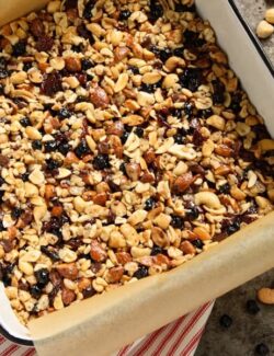 nut and fruit granola bar