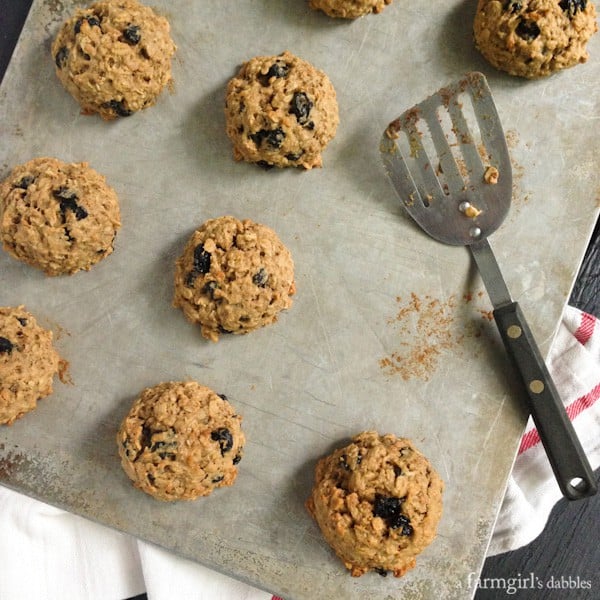 Banana Peanut Butter Breakfast Cookies with Whole Wheat, Oats, and Dried Blueberries