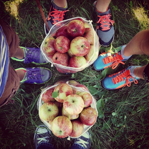 two bags of apples from and orchard