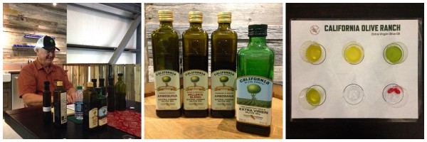 olive oil tasting