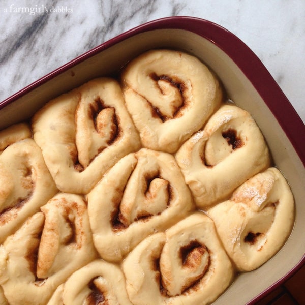 Caramel Rolls in a pan before going into the oven