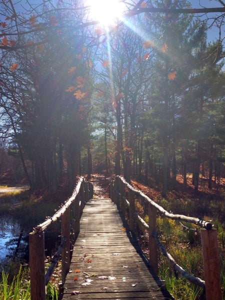 a bridge across water