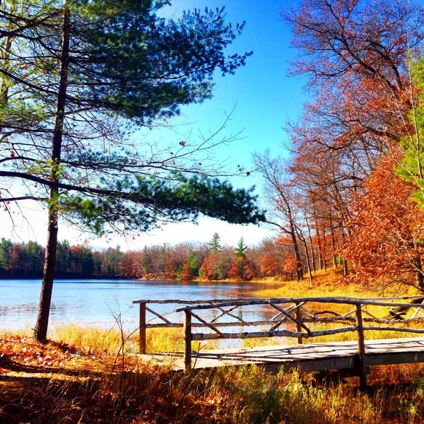 trees in that fall at Canoe Bay