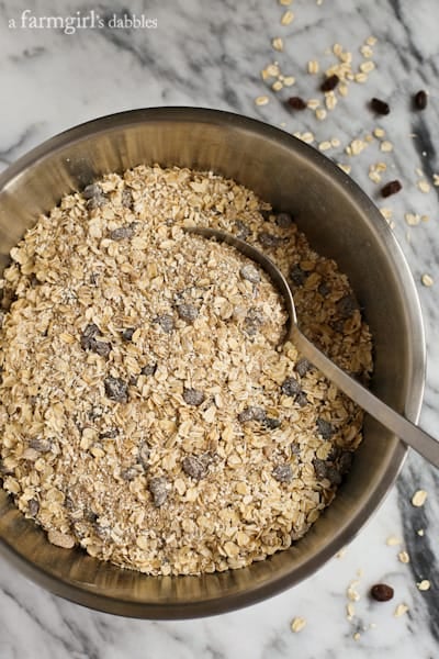 dry oats mixed with raisins