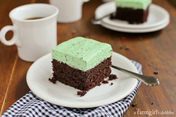 Chocolate Cake topped with Mint Chocolate Chip Buttercream on a white plate