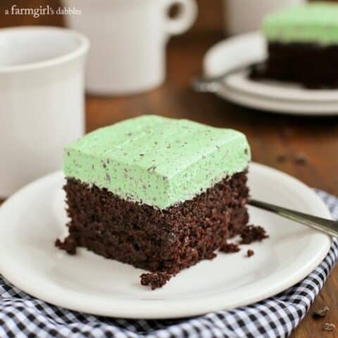 Chocolate Cake with Fluffy Mint Chocolate Chip Buttercream
